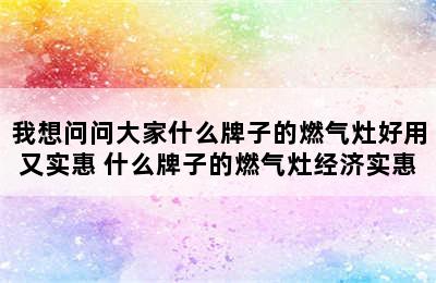 我想问问大家什么牌子的燃气灶好用又实惠 什么牌子的燃气灶经济实惠